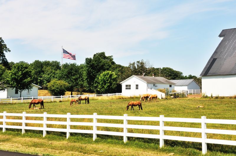 Horse Fence Replacement in Roseville, CA